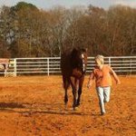 Profile Picture of Tammy Wilbur (@arrowsway) on Instagram