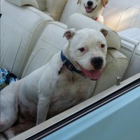 Profile Picture of Randy Childress (@randy-childress-8) on Quora