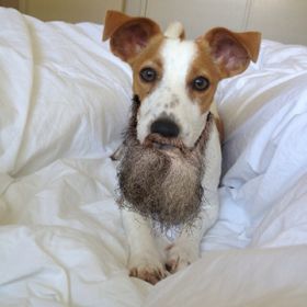 Profile Picture of Corey Eichenberger (@HawaiianIke) on Pinterest