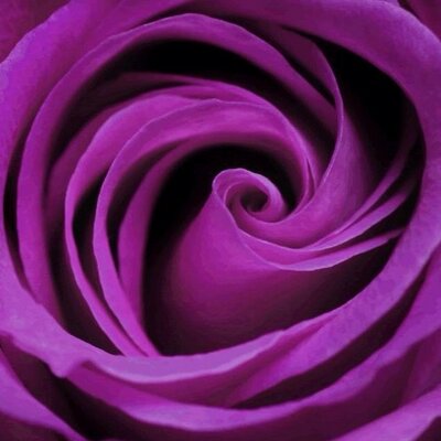 Profile Picture of Gretchen Franks (@gfranks_franks) on Twitter