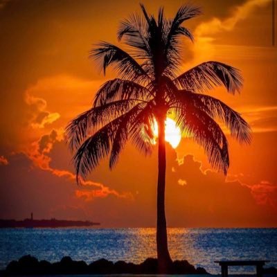 Profile Picture of Kevin Enciso (@KevinEn64963480) on Twitter