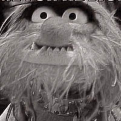 Profile Picture of Matt Braund (@MattBraund) on Twitter