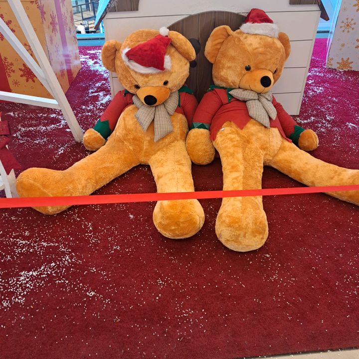 Profile Picture of David corbu (@david.corbu) on Tiktok