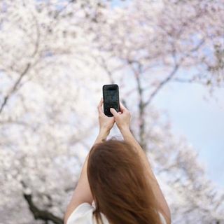 Profile Picture of amanda archibald (@fotosynthesis) on Instagram