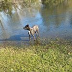 Profile Picture of Jeremy Fordham (@jfordham23) on Instagram