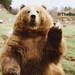 Profile Picture of Armando Velasquez (@armando.velasquez.129) on Instagram