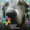 Profile Picture of Kimberly Simon (@@user273133632) on Tiktok