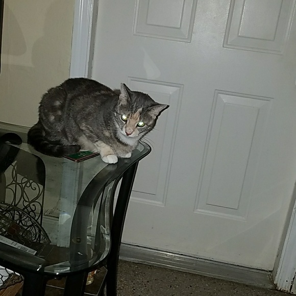 Profile Picture of Lorane Lawrence (@jonlaw02) on Poshmark