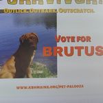 Profile Picture of Amanda Fournier (@amandafournier207) on Instagram