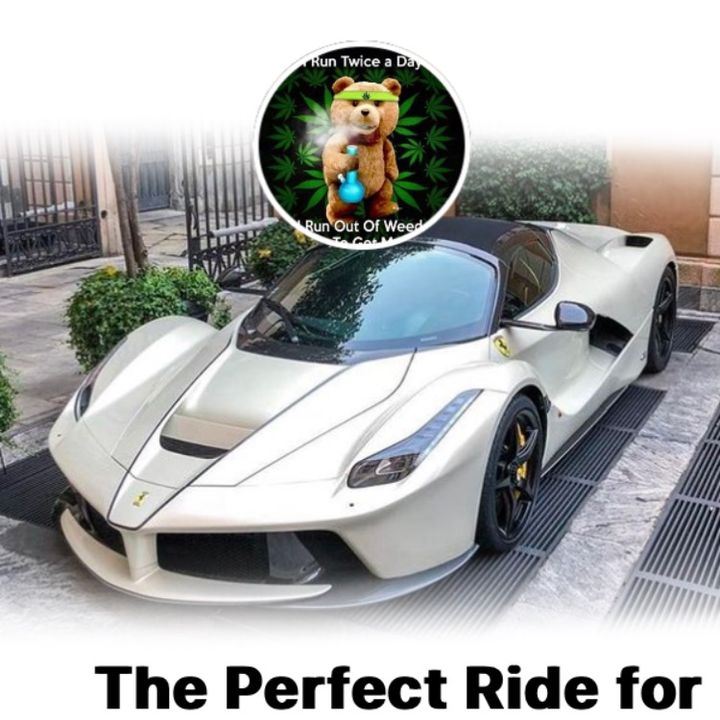 Nathan Burny - Tiktok Profile Picture of Nathan Burny (@nathanburny) on Tiktok