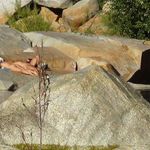 Profile Picture of lucinda mullins (@lucindamullins10) on Instagram