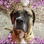 Profile Picture of kim pyke (@kim_pyke_05) on Instagram