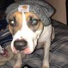 Profile Picture of Joseph (@@joseph.kuipers) on Tiktok