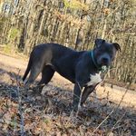 Profile Picture of Jacob Plunkett (@mr.jplunkett) on Instagram