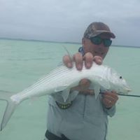 Profile Picture of Paul Brabham (@brabham1217) on Pinterest