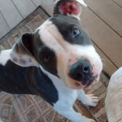 Profile Picture of Clayton Allen (@claytonallen9668) on Youtube