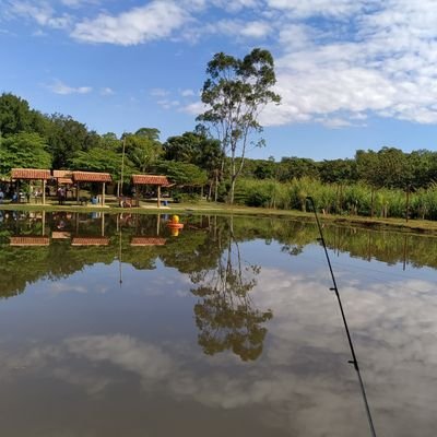 Profile Picture of William Teixeira (@will_teixeira) on Twitter