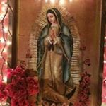 Isabela Padilla - Instagram Profile Picture of Isabela Padilla (@isabela.padilla.904) on Instagram