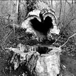 Profile Picture of K_J_N (@kiran.nair0703) on Instagram