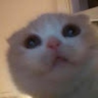 Profile Picture of Jacquelyn Reaves (@jacquelyn-reaves) on Quora