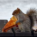 Profile Picture of Andrew Mannino (finsta) (@hey_its_harold_) on Instagram