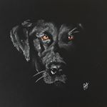 Profile Picture of Cathy Holloway Art (@cathy.holloway.art) on Instagram