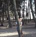 Profile Picture of Mithun Paul (@mithun.paul.3914) on Facebook