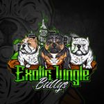 Profile Picture of Aunt Jackie- Brownie- LadyG’z (@exoticjungle_bullys) on Instagram