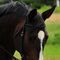 Profile Picture of Carlene Wilbur (@carlene.wilbur.1) on Facebook