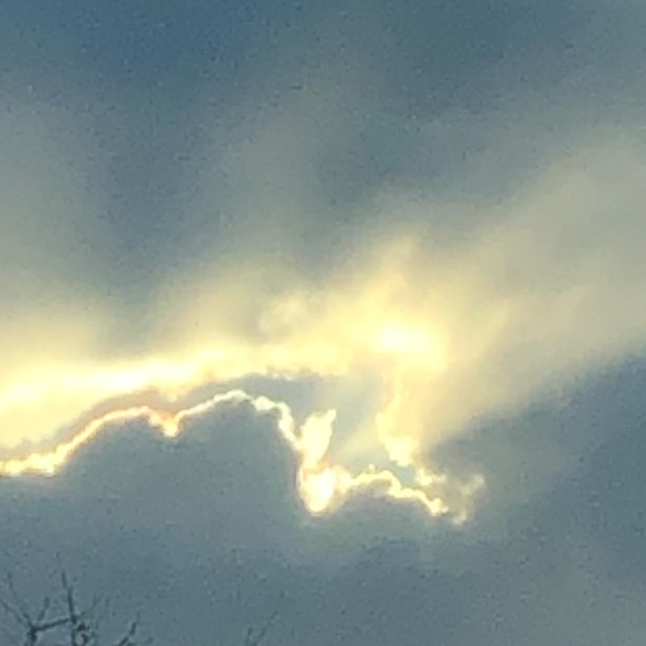 Kathleen Brearey - Poshmark Profile Picture of Kathleen Brearey (@kathleenbrearey) on Poshmark