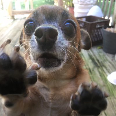 Ada Alfonso - Twitter Profile Picture of Ada Alfonso (@adita_alfonso) on Twitter