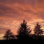 Profile Picture of Robin Singley Bivens (@robin.bivens_) on Instagram