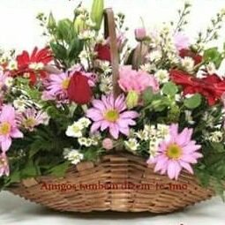 Profile Picture of Pam_Bilby (@pam_bilby) on Twitter