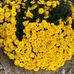 Profile Picture of Eileen Kramer (@eileen.kramer.733076) on Facebook