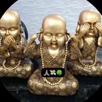 Profile Picture of Steven Fallas (@Steven-Fallas) on Facebook