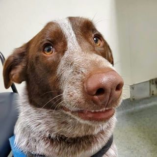 Profile Picture of James Sharrar (@james.sharrar.7) on Facebook