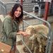 Profile Picture of Jenna Harpenau (@jennatess) on Pinterest