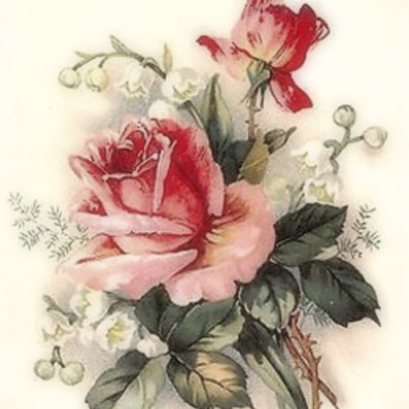 Cindy Becker - Poshmark Profile Picture of Cindy Becker (@posherwosher) on Poshmark