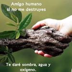 Profile Picture of Maria Isabel Esmeraldas Oramas (@esmeraldasoramas) on Instagram