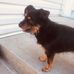 Profile Picture of Jason Legault (@jason.legault.92) on Facebook