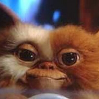 Profile Picture of Paul Jones (@JonesMitzi) on Twitter