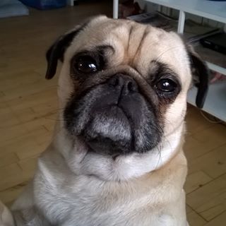 Profile Picture of Ilse Schultz (@ilse.schultz) on Facebook