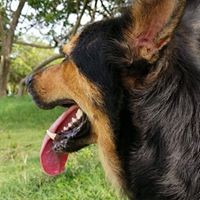 Profile Picture of Travis Lay (@travis-lay-7) on Quora
