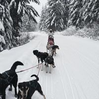 Profile Picture of Alex Hubbard (@alex-hubbard-13) on Quora