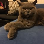 Profile Picture of David Becei (@david.becei) on Facebook