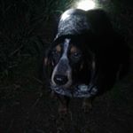 Profile Picture of Caleb Dockery (@calebdoc64) on Instagram