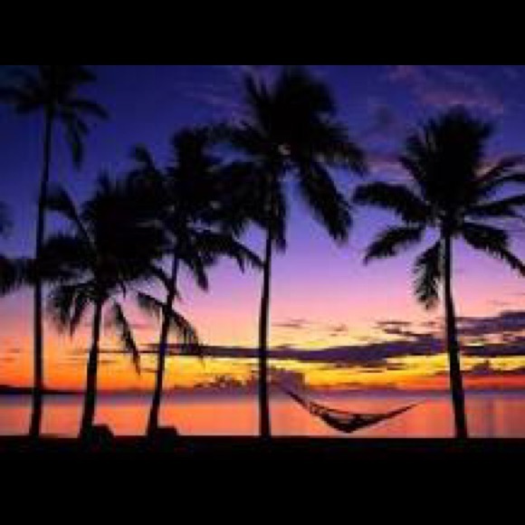 Profile Picture of Stacey Basciano (@sbasciano) on Poshmark