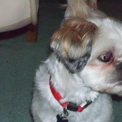 Profile Picture of Arlene Davis (@ArleneRustyfaye) on Twitter