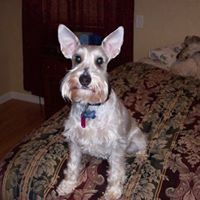 Profile Picture of Lori Brower (@lori-brower-2) on Quora