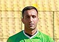 Profile Picture of Hamed Fallahzadehon Wikipedia